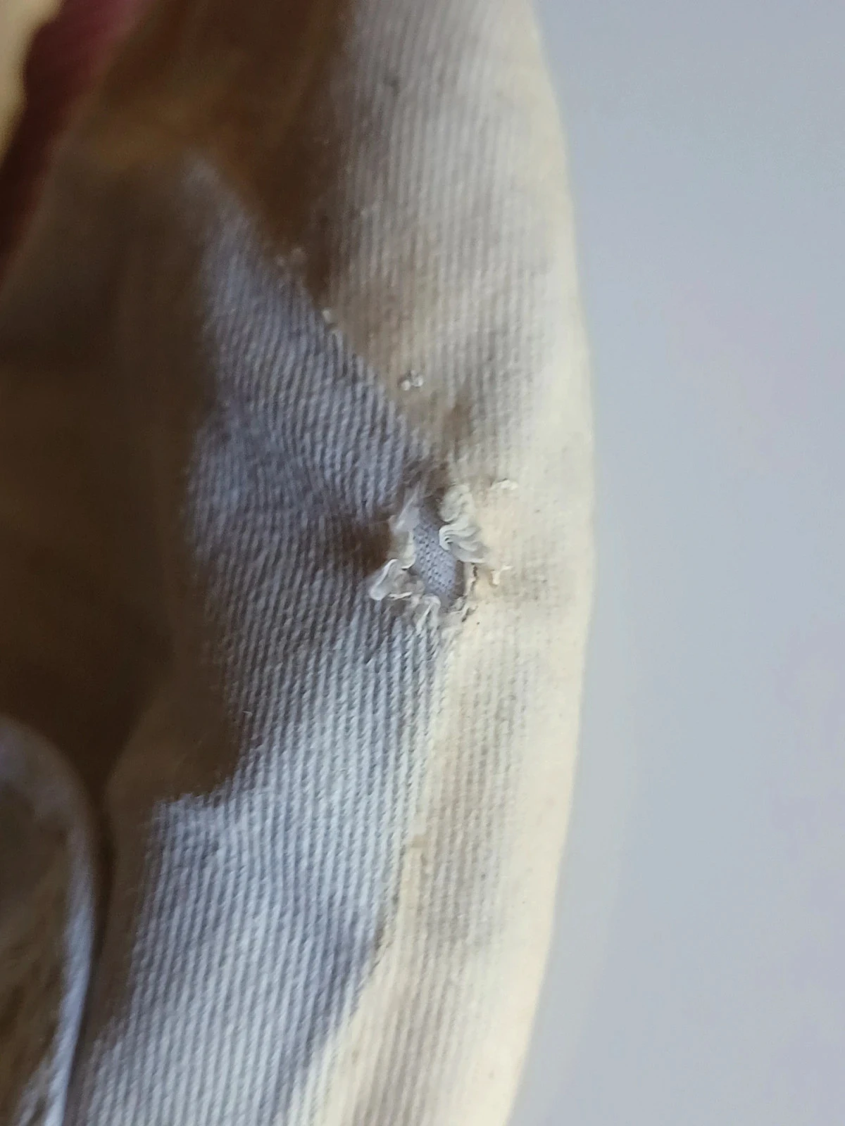 Palladium blanc cassé fleuri  pointure 39 – photo 4